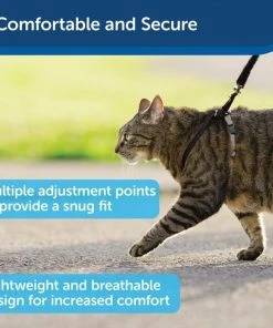 PetSafe Come With Me Kitty Nylon Cat Harness & Bungee Leash -PetSafe Store 63990 PT2. SY630 V1601027155