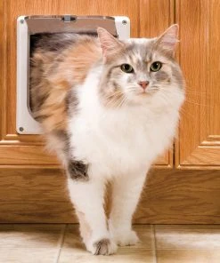 PetSafe 2-Way Locking Cat Door