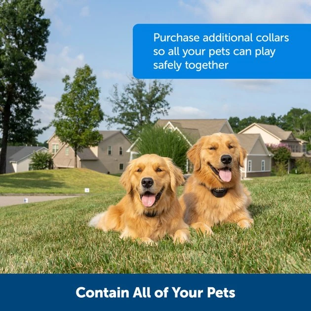 PetSafe Stay & Play Compact Wireless Dog & Cat Fence 6 PetSafe Stay & Play Compact Wireless Dog & Cat Fence - Image 6