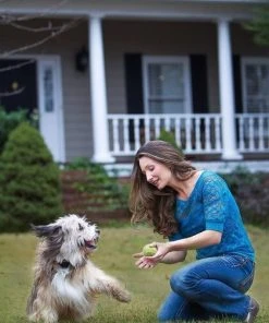 PetSafe Stay & Play Compact Wireless Dog & Cat Fence 15 PetSafe Stay & Play Compact Wireless Dog & Cat Fence -PetSafe Store 66989 PT7. SY630 V1481235123