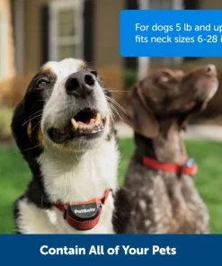 PetSafe Stubborn Dog Stay+Play Wireless Fence Receiver Collar -PetSafe Store 67058 PT3. SY630 V1657661018