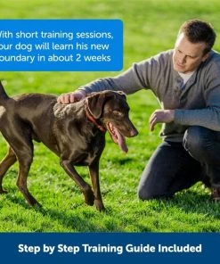 PetSafe Stubborn Dog Stay+Play Wireless Fence Receiver Collar -PetSafe Store 67058 PT4. SY630 V1657661018