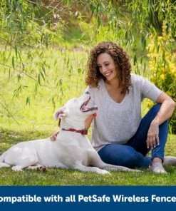 PetSafe Stubborn Dog Stay+Play Wireless Fence Receiver Collar -PetSafe Store 67058 PT6. SY630 V1657661018