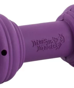 Busy Buddy Chuckle Squeaky Treat Dispenser Dog Toy