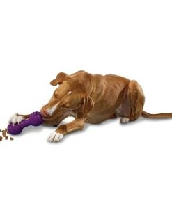 Busy Buddy Chuckle Squeaky Treat Dispenser Dog Toy -PetSafe Store 67197 PT2. SY630 V1602314161