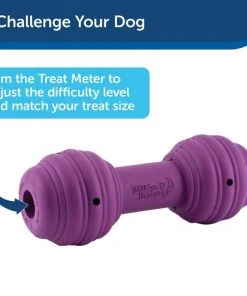 Busy Buddy Chuckle Squeaky Treat Dispenser Dog Toy -PetSafe Store 67197 PT6. SY630 V1602292561