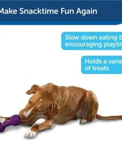 Busy Buddy Chuckle Squeaky Treat Dispenser Dog Toy -PetSafe Store 67197 PT7. SY630 V1602285959