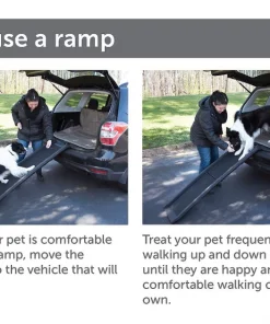 PetSafe Happy Ride Extendable Dog Car Ramp -PetSafe Store 68733 PT5. SY630 V1569507847