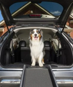 PetSafe Happy Ride Foldable Dog Car Ramp