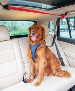 PetSafe Happy Ride Dog Vehicle Zipline