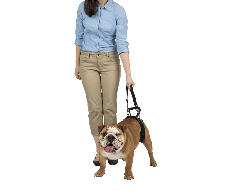PetSafe CareLift Rear Handicapped Support Dog Harness 1 PetSafe CareLift Rear Handicapped Support Dog Harness