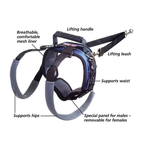 PetSafe CareLift Rear Handicapped Support Dog Harness 4 PetSafe CareLift Rear Handicapped Support Dog Harness - Image 4