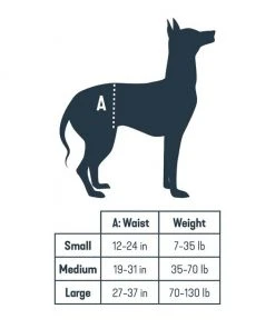 PetSafe CareLift Rear Handicapped Support Dog Harness 11 PetSafe CareLift Rear Handicapped Support Dog Harness -PetSafe Store 68834 PT5. SY630 V1619892133