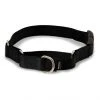 PetSafe Quick Snap Buckle Nylon Martingale Dog Collar