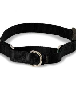 PetSafe Quick Snap Buckle Nylon Martingale Dog Collar