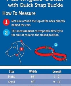 PetSafe Quick Snap Buckle Nylon Martingale Dog Collar -PetSafe Store 70786 PT8. SY630 V1542835622