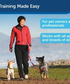 PetSafe Manners Minder Treat & Train Remote Reward Behavior Dog Trainer -PetSafe Store 70912 PT4. SY630 V1617321473