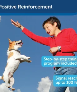 PetSafe Manners Minder Treat & Train Remote Reward Behavior Dog Trainer -PetSafe Store 70912 PT5. SY630 V1617318878