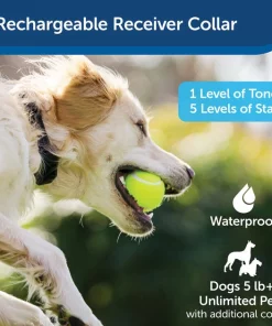 PetSafe Store 14 PetSafe Store -PetSafe Store 70916 PT1. SY630 V1605136611