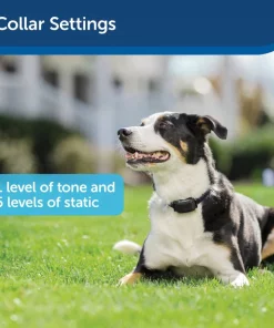 PetSafe YardMax Extra Receiver Collar for In-Ground Fence System -PetSafe Store 70918 PT2. SY630 V1600393556