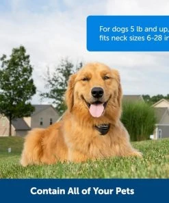 PetSafe Stay+Play Wireless Fence Receiver Collar -PetSafe Store 77164 PT3. SY630 V1657661026