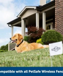 PetSafe Stay+Play Wireless Fence Receiver Collar -PetSafe Store 77164 PT6. SY630 V1657661026