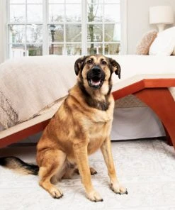 PetSafe CozyUp Wooden Cat & Dog Ramp