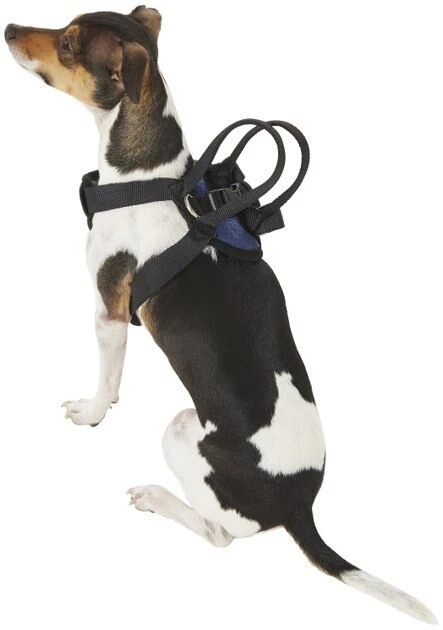 PetSafe Happy Ride Car Safety Dog Harness 4 PetSafe Happy Ride Car Safety Dog Harness - Image 4