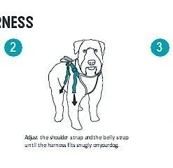 PetSafe Happy Ride Car Safety Dog Harness 11 PetSafe Happy Ride Car Safety Dog Harness -PetSafe Store 79309 PT5. SY630 V1582065843