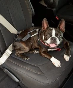PetSafe Happy Ride Dog Seat Belt Tether