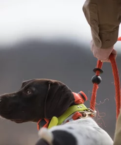 SportDOG UplandHunter 1875 Training Dog Collar -PetSafe Store 79582 PT5. SY630 V1626451608