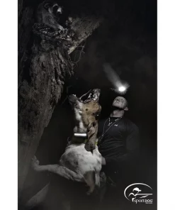 SportDOG HoundHunter 3225 Training Dog Collar -PetSafe Store 79586 PT3. SY630 V1595979664