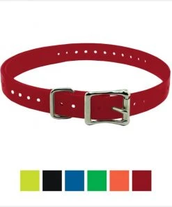 SportDOG Replacement Strap Dog Collar, 1-in