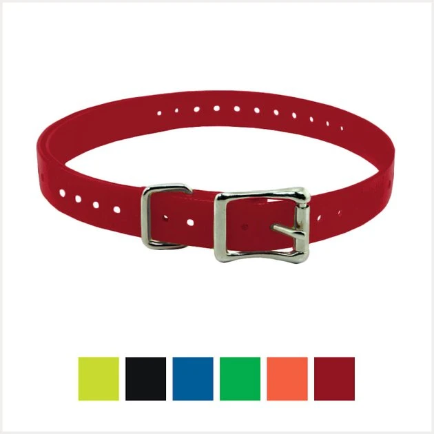 SportDOG Replacement Strap Dog Collar, 1-in 1 SportDOG Replacement Strap Dog Collar, 1-in