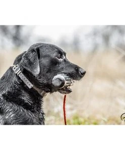 SportDOG 50/50 Plastic Dog Training Dummy, Black/White 5 SportDOG 50/50 Plastic Dog Training Dummy, Black/White -PetSafe Store 79904 PT2. SY630 V1627350150