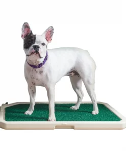 Piddle Place Indoor Dog & Cat Toilet with Cover