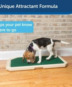 Piddle Place Bio+ Treatment Turf Pad Maintenance for Dogs & Cats -PetSafe Store 82174 PT3. SY630 V1619794043