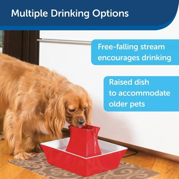 Drinkwell Pagoda Ceramic Dog & Cat Fountain 4 Drinkwell Pagoda Ceramic Dog & Cat Fountain - Image 4