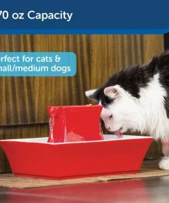 Drinkwell Pagoda Ceramic Dog & Cat Fountain 16 Drinkwell Pagoda Ceramic Dog & Cat Fountain -PetSafe Store 89191 PT7. SY630 V1598894755