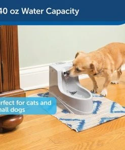 Drinkwell Mini Plastic Dog & Cat Fountain -PetSafe Store 89194 PT3. SY630 V1590606133