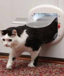 PetSafe 4-Way Locking Cat Door, Up to 25-lbs