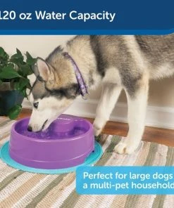PetSafe Current Circulating Pet Fountain -PetSafe Store 99199 PT3. SY630 V1598662258