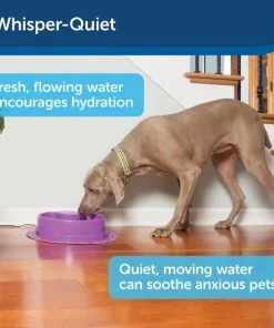 PetSafe Current Circulating Pet Fountain -PetSafe Store 99199 PT4. SY630 V1598657156