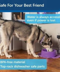 PetSafe Current Circulating Pet Fountain -PetSafe Store 99199 PT5. SY630 V1598651171