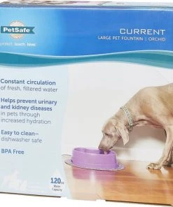 PetSafe Current Circulating Pet Fountain -PetSafe Store 99199 PT7. SY630 V1545232928
